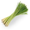 Citronzāle, ēteriskā eļļa