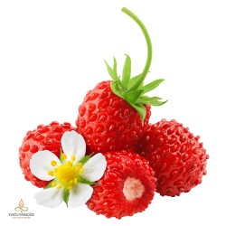 Meža zemene, aromātiskā eļļa